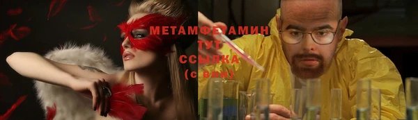 стаф Болотное