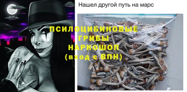 винт Рославль