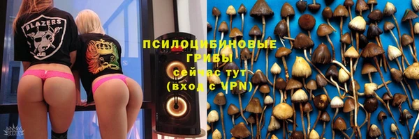 винт Рославль