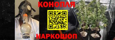 a pvp Апрелевка