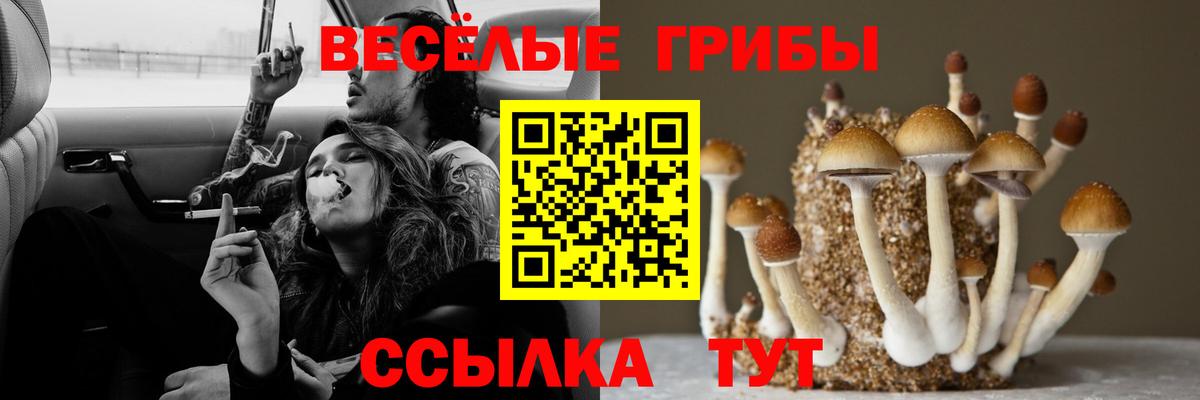 Галлюциногенные грибы ЛСД Богородск