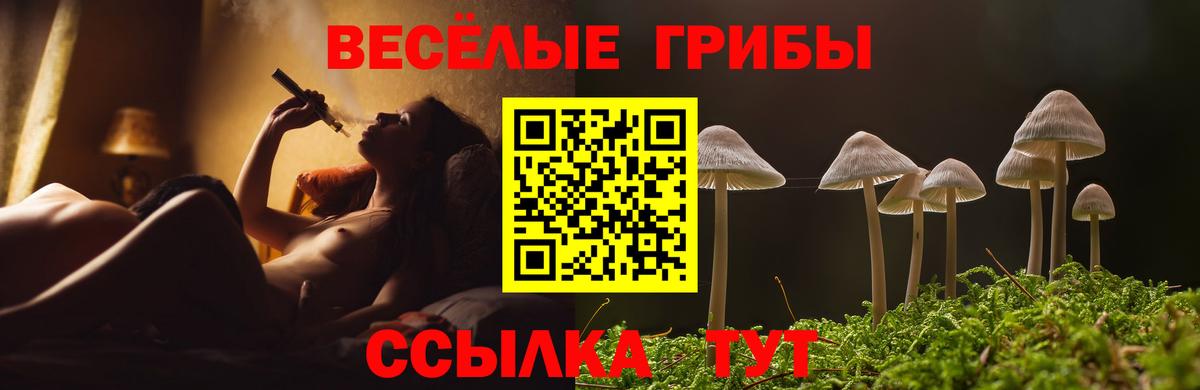 Псилоцибиновые грибы мухоморы  Вход с VPN  Псилоцибиновые грибы GOLDEN TEACHER  Богородск 