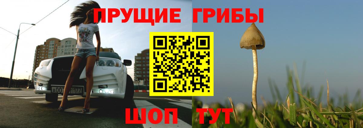 Галлюциногенные грибы Psilocybe  Псилоцибиновые грибы Cubensis  Богородск 