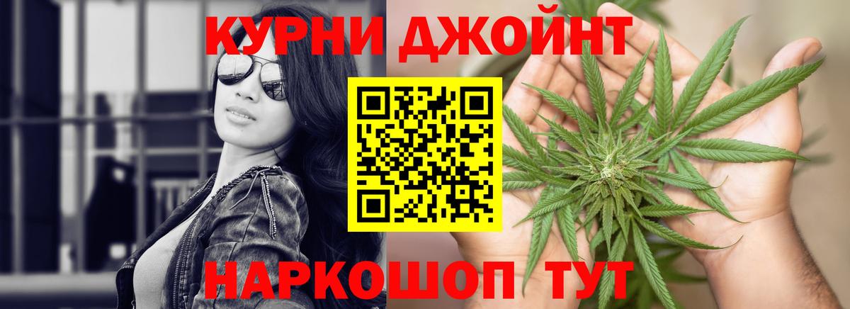 Бошки Шишки ГИДРОПОН  Каннабис планчик  Канабис MAZAR  Богородск 